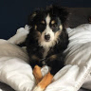 Meet your Posher, Eunicia